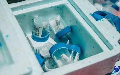 COMUNICADO DE PRENSA: PRUEBAS PCR