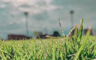 COMUNICADO OFICIAL: VACACIONES