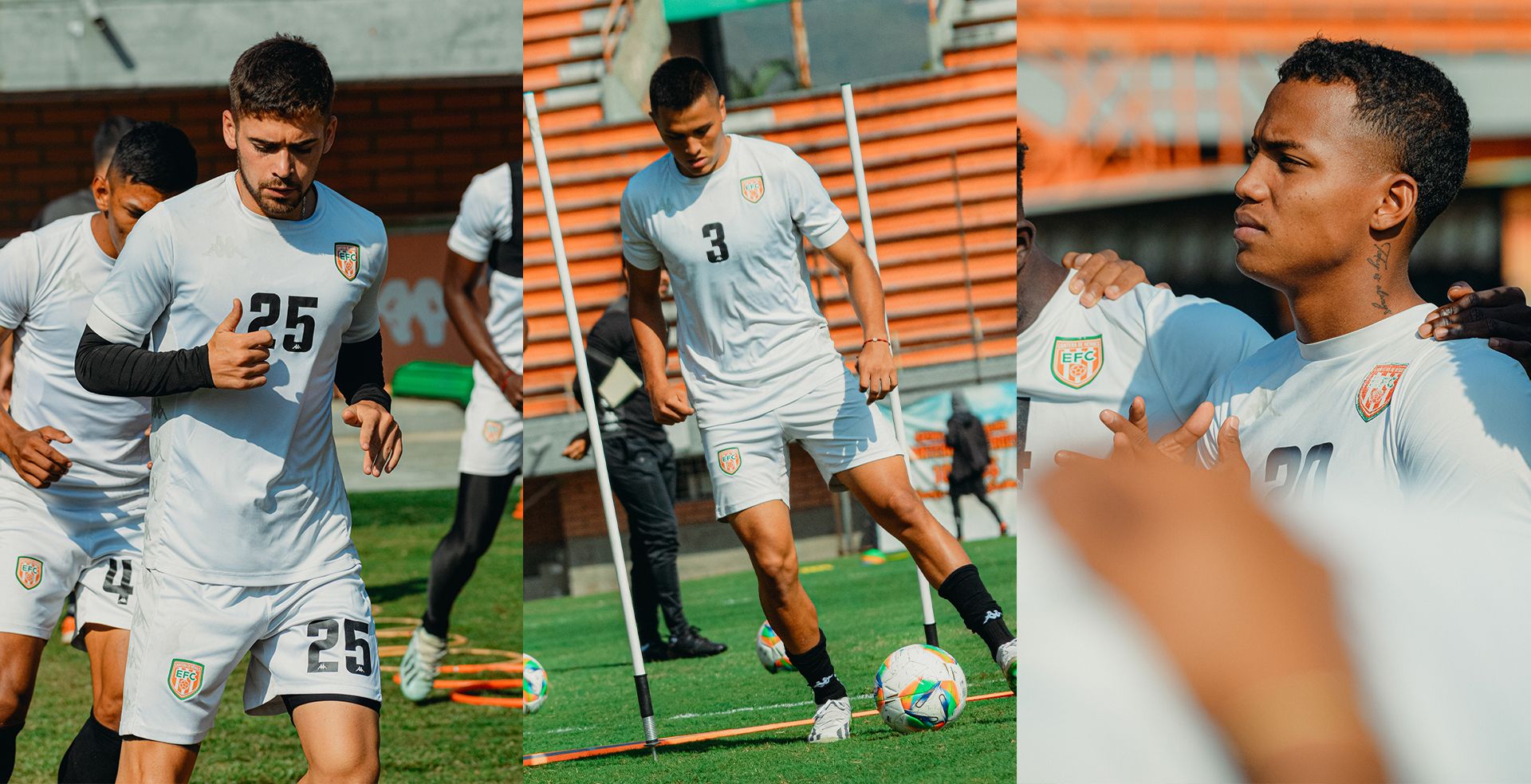 ACTUALIDAD I PLANTEL PROFESIONAL