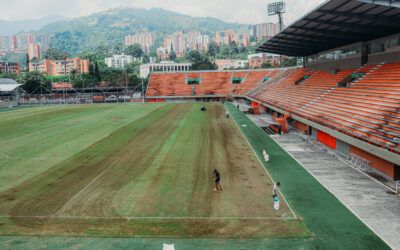 MANTENIMIENTO DE LA GRAMA DEL POLIDEPORTIVO SUR