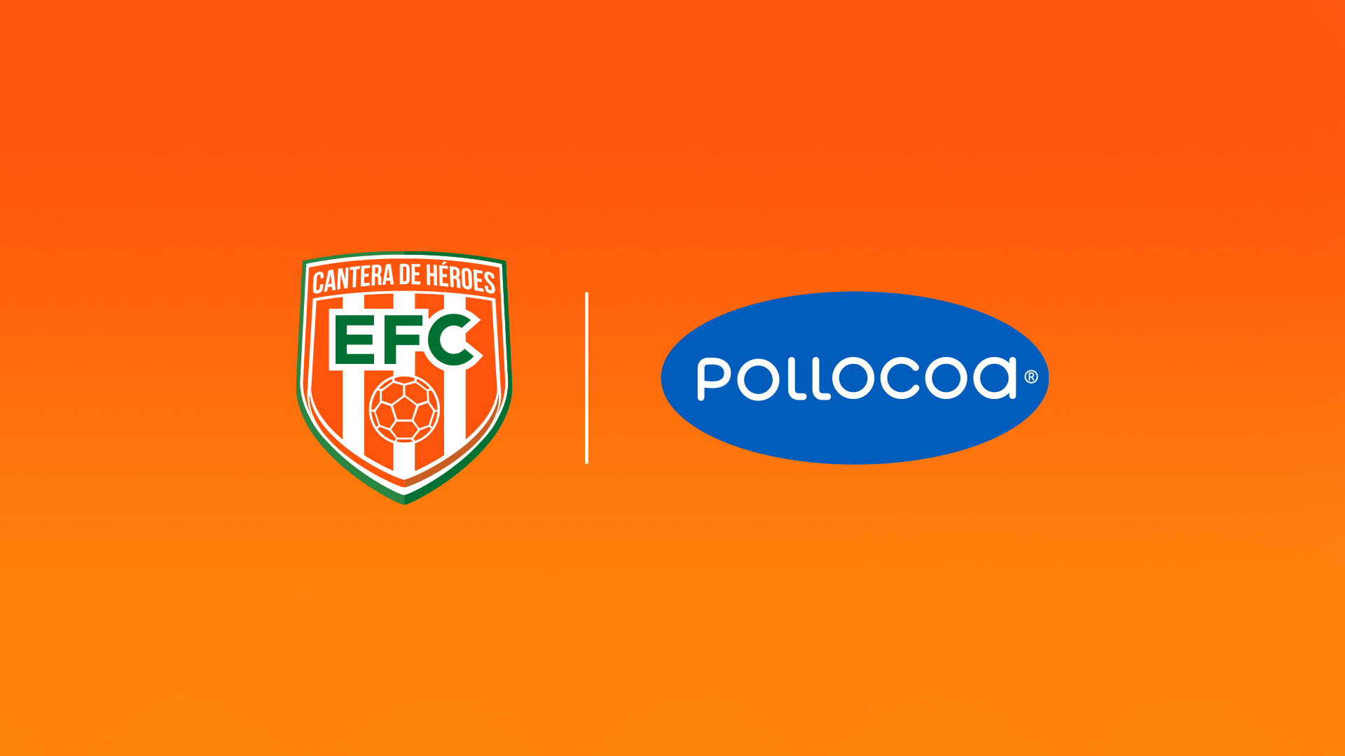 ALIADO OFICIAL – POLLOCOA