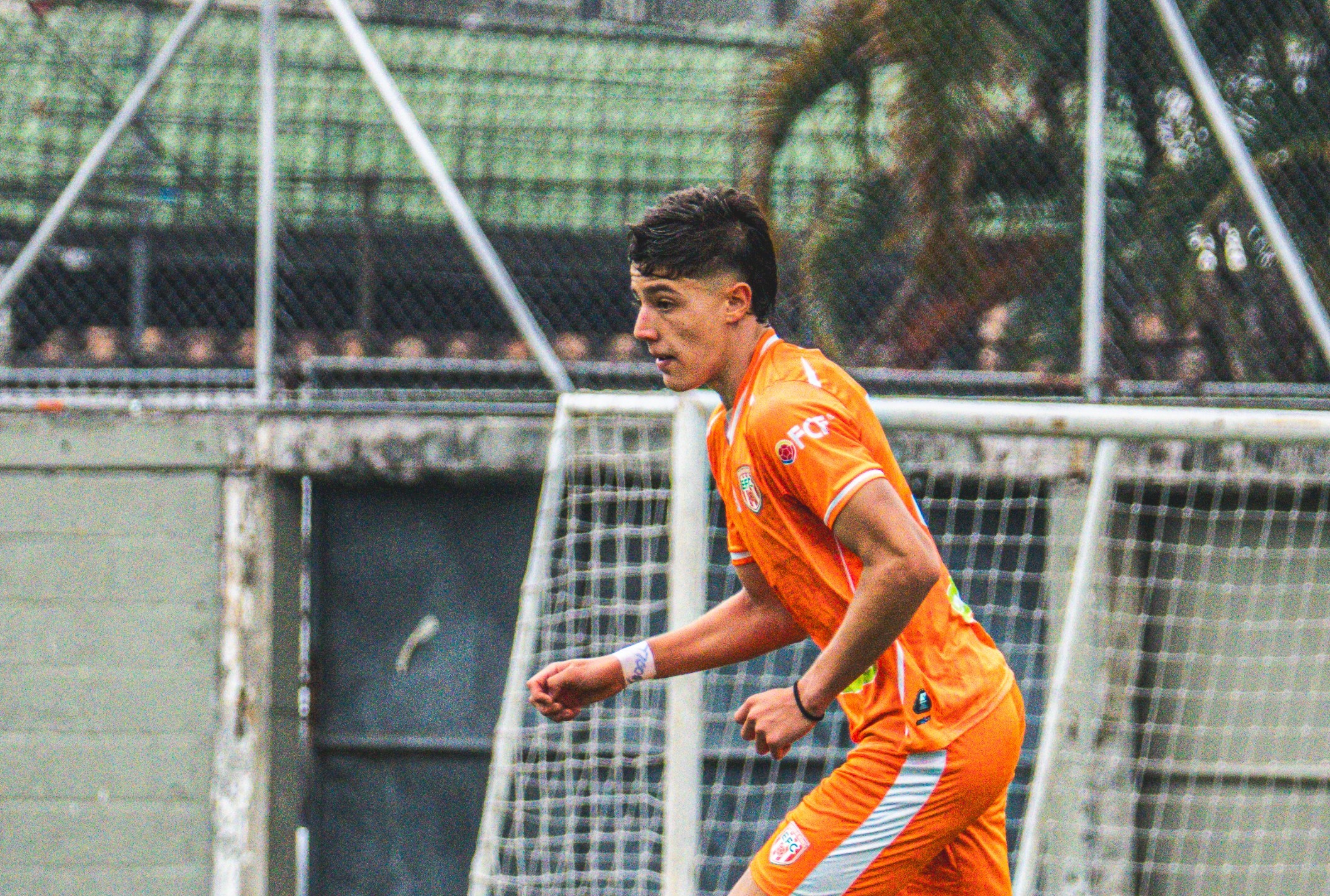 CON ADN NARANJA